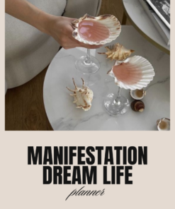 Manifestation Dream Life Journal